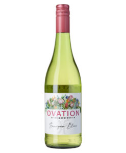 Diemersfontein Ovation sauvignon blanc Wellington Zuid-Afrika