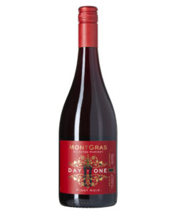 MontGras Wines day one pinot noir Chili
