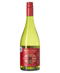 MontGras Wines day one sauvignon blanc Chili