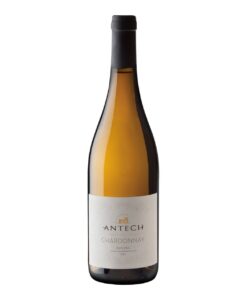 Maison Antech chardonnay Limoux Frankrijk