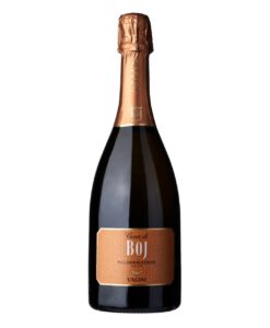 Valdo Cuvée del Fondatore Valdobbiadene Prosecco Superiore DOCG Vintage Brut Italië